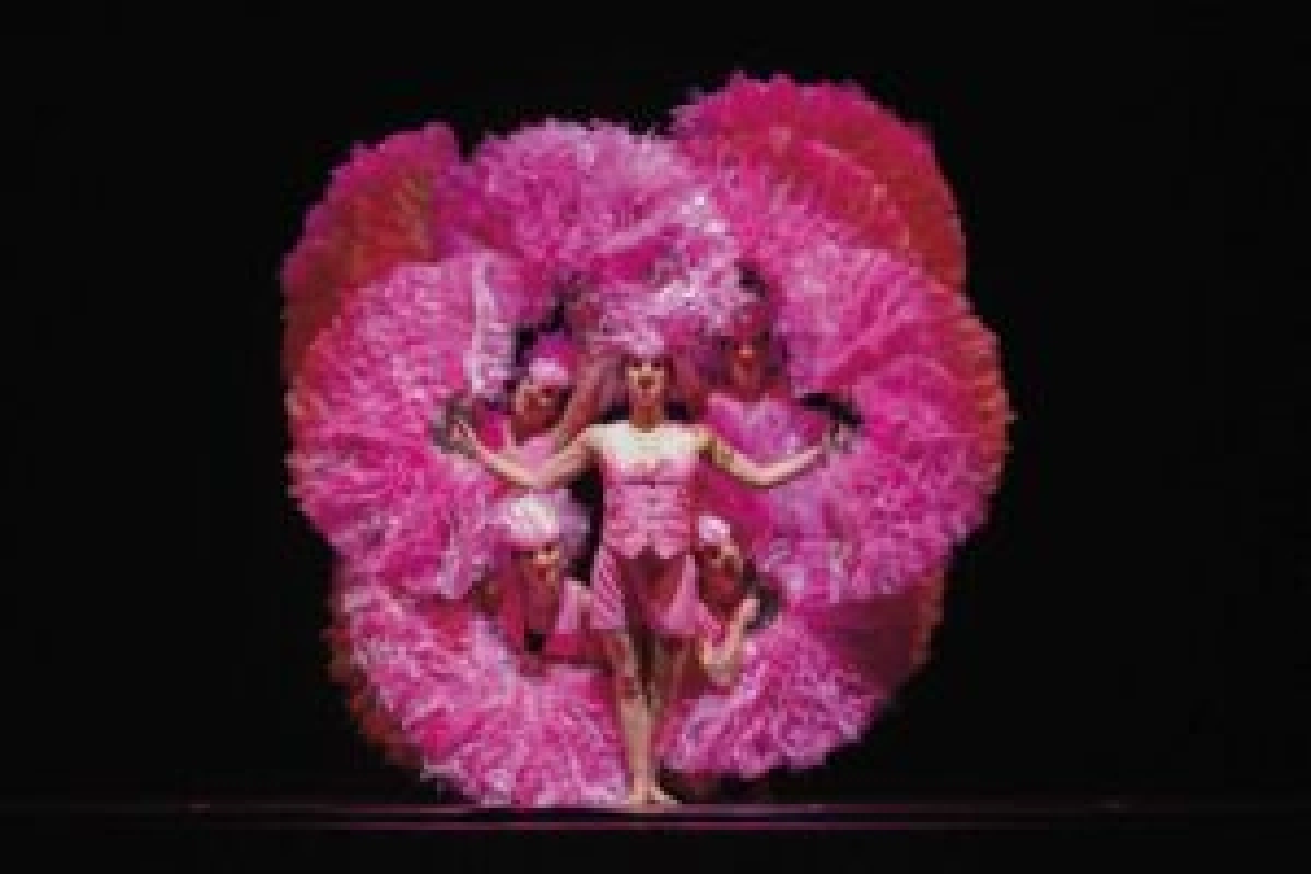 Carnaval der dieren (4-104)